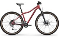 Centurion Backfire Fit Pro 200 cranberry
